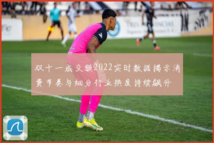 双十一成交额2022实时数据揭示消费节奏与细分行业热度持续飙升