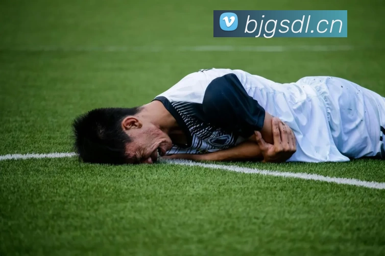 多媒体互动体验